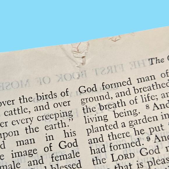 Vintage Holy Bible Revised Standard Old & New Testament 1952 Red Cover T. Nelson - Picture 14 of 16